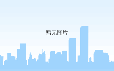 空压引导止回阀(图1)